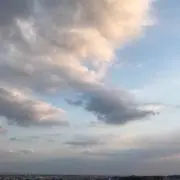 aiの画像