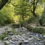 みつきの画像