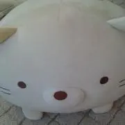 にゃー(=^ェ^=)の画像