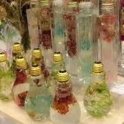 ToMy☆の画像