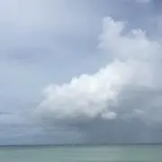 チャンの画像