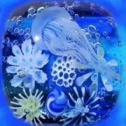 海月ωωωの画像