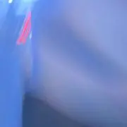 たいの画像