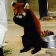 じゅん