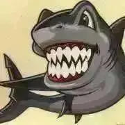 shark Jの画像