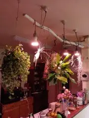 アキ
