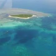 ゆぼたまの画像