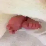 ここ（プロフ要確認）の画像