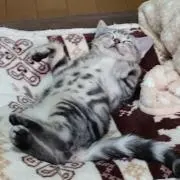 そら