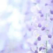 ツナツキの画像