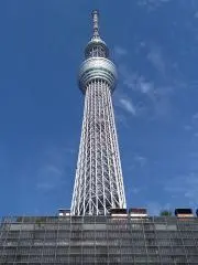 出品 最安値に挑戦！！！の画像