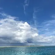 ヒロの画像