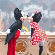 7/3-7/6発送不可 ♡ミモザ♡の画像