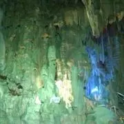N032の画像
