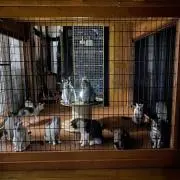 まさの画像