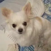 みぃたんの画像