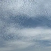 ウリポンの画像