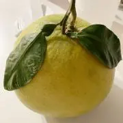 りんご☆の画像