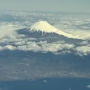 しょーゆの画像