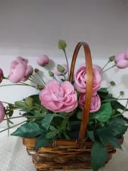 みいの画像