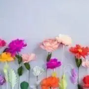 naの画像