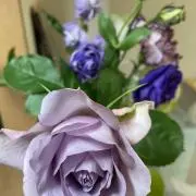 ぜたの画像