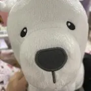 momoの画像