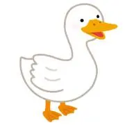 あひるの画像