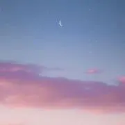 たるとの画像