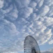 1月のお勉強