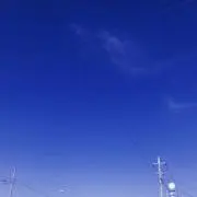t.