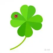 Four-leaf Cloverの画像