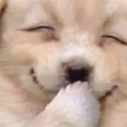 ななな