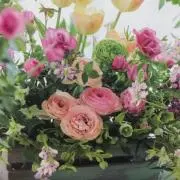 みきの画像