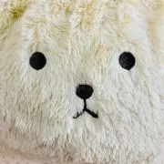 ゆっち★の画像