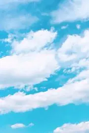 くう