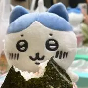 林ちゃんの画像