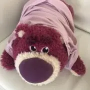 もりの画像