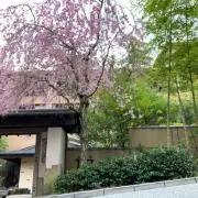Sの画像