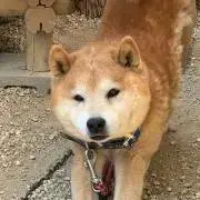 うんやん  プロフ必読！
