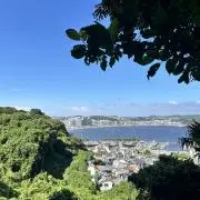ばすたの画像