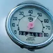 ぶんちゃんの画像