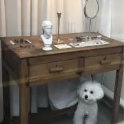 momoの画像
