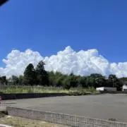 オオタニサン!!!!!の画像