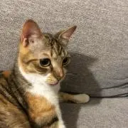 ゆうの画像