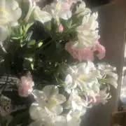 ♡の画像