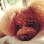 まきたん