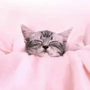 Yu..の画像