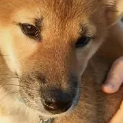 ワンキック