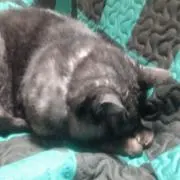 かっちゃん